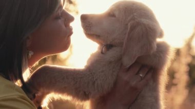 Golden Retriever köpeği sahibinin burnuna sevgiyle dokunuyor. Mutlu köpek kırsal alanda iyi vakit geçiriyor. Şirin köpek. Av cinsi. Yüksek kalite 4k görüntü