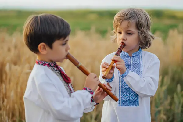 stock image Little children brothers playing melody on woodwind wooden flutes - ukrainian sopilka, tylynka or telenka in wheat field. Folk music concept. Musical instrument. Kids in traditional embroidered shirts