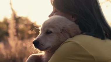 Golden Retriever köpeği sahibinin burnuna sevgiyle dokunuyor. Mutlu köpek kırsal alanda iyi vakit geçiriyor. Şirin köpek. Av cinsi. Yüksek kalite 4k görüntü