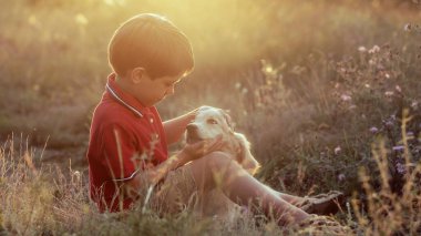 Kırsal kesimde Golden Retriever köpeğiyle konuşan sevimli bir çocuk. Altın saat, gün batımı ışığı. Çocuk okşayan köpek. Mutlu sevimli hayvan, ailenin yeni üyesi. Yüksek kalite 