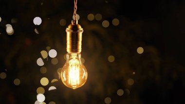 Bahçede asılı dekoratif eski Edison Tungsten filament lambası, parlayan, klasik ampul. Yaratıcı fikir, evrim, keşif, eureka Yüksek kalite