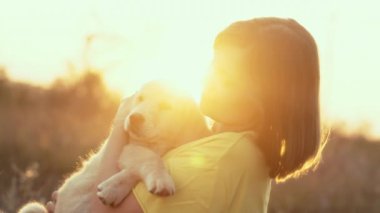 Golden Retriever köpeği sahibinin burnuna sevgiyle dokunuyor. Mutlu köpek kırsal alanda iyi vakit geçiriyor. Şirin köpek. Av cinsi. Yüksek kalite 4k görüntü