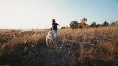 Tasmalı Golden Retriever köpeğiyle gezen sevimli küçük bir çocuk, kırsal doğa geçmişi. Altın saat, gün batımı ışığı. Çocuk eğiten köpek. Mutlu sevimli hayvan, ailenin yeni üyesi. - Evet. Yüksek kalite 4k