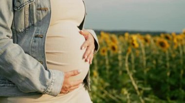 Tanımlanamayan müstakbel anne bebek bekliyor. Sağlık hamileliği, mutlu annelik. Hamile bir kadın dokunuyor, karnını okşuyor ayçiçeklerinin üzerinde, doğal arka planda. Yüksek kalite 4k görüntü