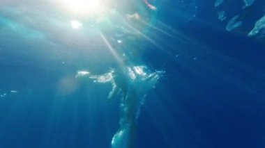 Mutlu küçük çocuk havuza atlıyor açık mavi su, çocuklar için eğlence. Yaz yüzüşü, sualtı eğlencesi. Komik çocuk, dalmanın tadını çıkar. Aşırı açı. Yüksek kalite 4k görüntü