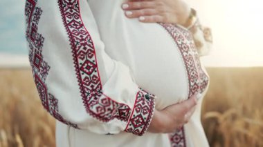 Hamile bir kadın buğday tarlasına dokunuyor, karnını okşuyor. Bebek bekleyen, nakışlı elbiseli, tanınmamış, gelecekteki Ukraynalı anne. Sağlık hamileliği, mutlu annelik. 4k görüntü