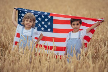Sevimli küçük erkek kardeşler. Yazın Buğday Tarlası 'nda ulusal bayrağı olan Amerikalı vatansever çocuklar. ABD, 4 Temmuz Bağımsızlık Günü, kutlama. ABD bayrağı, Gaziler Anıtı, Seçim, Amerika, İşçi Partisi