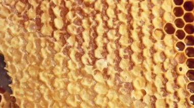 Bal peteğini bıçakla kesmek. Bal üretimi, arı üretimi, doğal arıcılık ürünleri. Ağır çekim. Yüksek kalite 4k görüntü