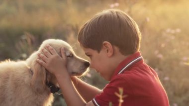 Kırsal kesimde Golden Retriever köpeğiyle konuşan sevimli bir çocuk. Altın saat, gün batımı ışığı. Çocuk okşayan köpek. Mutlu sevimli hayvan, ailenin yeni üyesi. Yüksek kalite 4k görüntü 