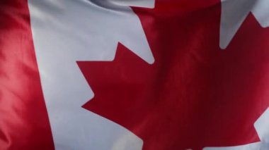 Gerçek Kanada bayrağı sallıyor. Demokrasinin sembolü, seyahat eden Kanada, gelecek, kutlama, bayrak, Anma Günü, Kuzey Amerika seçimleri. Yüksek kalite 4k görüntü