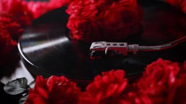 Kırmızı güllerin arka planında klasik vinil plak çalıyor. Romantik koleksiyon, döner tabaka, analog ses, aşk için güzel müzik. LP, klasik estetik. Yüksek kalite 4k görüntü