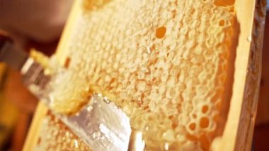 Bal peteğini bıçakla kesmek. Bal üretimi, arı üretimi, doğal arıcılık ürünleri. Ağır çekim. Yüksek kalite 4k görüntü