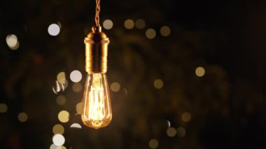 Bahçede asılı dekoratif eski Edison Tungsten filament lambası, parlayan, klasik ampul. Yaratıcı fikir, evrim, keşif, eureka Yüksek kalite 4k