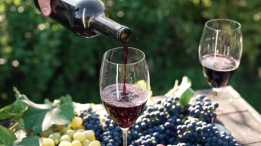 Doğa restoranının yaz terasında şarap bardağına dökülen kırmızı şarabın güzel manzarası. Bir demet taze üzüm servis masasını süslüyor. Lüks hedonistlerin yaşam tarzı. Yüksek kalite 4k