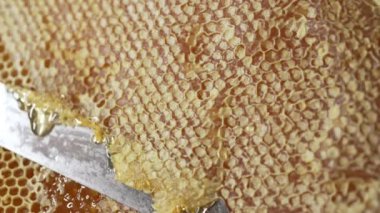 Bal peteğini bıçakla kesmek. Bal üretimi, arı üretimi, doğal arıcılık ürünleri. Ağır çekim. Yüksek kalite 4k görüntü