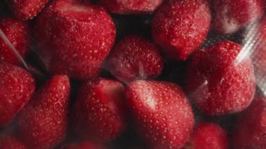 Paketleme cihazı vakumluyor, plastik torbadan taze organik çilek dilimleri ile hava çıkarıyor. Dondurucu deposu hazırlığı. Yüksek kalite 4k görüntü