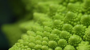 Romanesco brokoli, makro kafa manzaralı. Yeşil lahana, yakın plan, Fibonacci dizisi. Doğal fraktal desen, sağlıklı beslenme, organik gıda, taze ürün. Yüksek kalite 4k görüntü