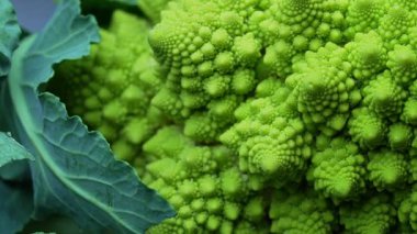 Romanesco brokoli, makro kafa manzaralı. Yeşil lahana, yakın plan, Fibonacci dizisi. Doğal fraktal desen, sağlıklı beslenme, organik gıda, taze ürün. Yüksek kalite 4k görüntü