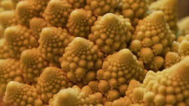 Macro 'daki Yeşil Romanesco Lahana Piramit Detayları. Roma Karnabahar 'ı, süper yiyecek. Sağlık, antioksidan, besin maddeleri. Yüksek kalite 4k görüntü