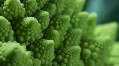 Romanesco brokoli, makro kafa manzaralı. Yeşil lahana, yakın plan, Fibonacci dizisi. Doğal fraktal desen, sağlıklı beslenme, organik gıda, taze ürün. Yüksek kalite 4k görüntü