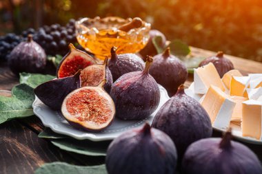 Peynir tabağıyla peynirli peynir, sağlıklı organik incir, bal ve üzüm. Kırmızı şarap kadehi, aperatif seti. Mevsimlik meyveler. Yüksek kalite fotoğraf