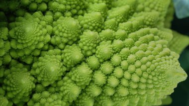 Romanesco brokoli, makro kafa manzaralı. Yeşil lahana, yakın plan, Fibonacci dizisi. Doğal fraktal desen, sağlıklı beslenme, organik gıda, taze ürün. Yüksek kalite