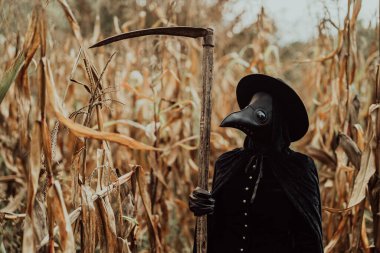 Sonbahar mısır çalılıklarında keskin tırpanlı veba doktoru gotik kadın. Ürkütücü kuzgun maskesi, cadılar bayramı, tarihi korkunç koruma kostümü, mistik fantezi.