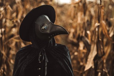 Sonbahar mısır çalılıklarında keskin tırpanlı veba doktoru gotik kadın. Ürkütücü kuzgun maskesi, cadılar bayramı, tarihi korkunç koruma kostümü, mistik fantezi.