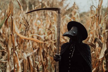 Sonbahar mısır çalılıklarında keskin tırpanlı veba doktoru gotik kadın. Ürkütücü kuzgun maskesi, cadılar bayramı, tarihi korkunç koruma kostümü, mistik fantezi.