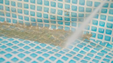 Güçlü su jeti yosunları yıkıyor, plastik arka bahçe havuzunun toprağı. Yüksek basınç akışı, mavi desenli yüzeydeki kiri görünür bir şekilde temizler. Evde bakım, yaz hazırlığı.