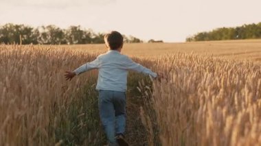 Genç çocuk sevinçle buğday tarlalarında koşuyor, ellerini altın saplara hafifçe sürtüyor. Çocukluğun tasasız ruhu, yaz özgürlüğü, doğayla bağlantı..