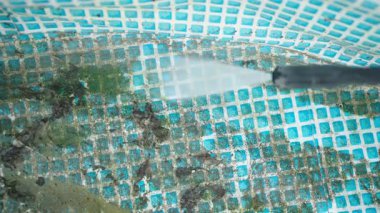 Güçlü su jeti yosunları yıkıyor, plastik arka bahçe havuzunun toprağı. Yüksek basınç akışı, mavi desenli yüzeydeki kiri görünür bir şekilde temizler. Evde bakım, yaz hazırlığı.