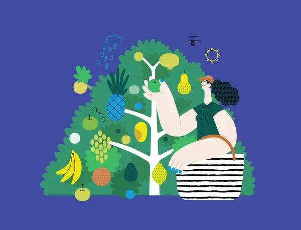 エコロジー 現代のフラットベクターコンセプトイラスト フルーツの木から果実を収集する女性 環境の持続可能性と保護のメタファー 自然に近い — ストックベクタ