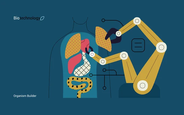 stock vector Bio Technology, Organism Builder -modern flat vector concept illustration of robot assembling organism using blocks, parts representing organ systems. Metaphor of regenerative medicine and 3D printing