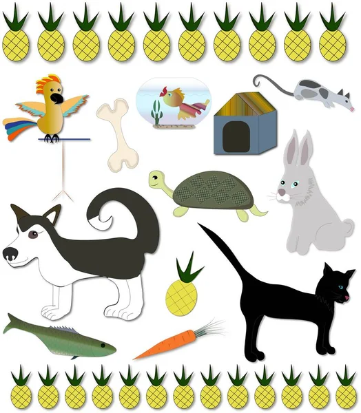 Conjunto Gráficos Vectoriales Imágenes Con Mascotas — Archivo Imágenes Vectoriales