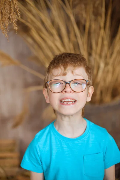Mavi Tişörtlü Yüzünde Garip Bir Ifade Olan Bir Çocuk Ahırın — Stok fotoğraf