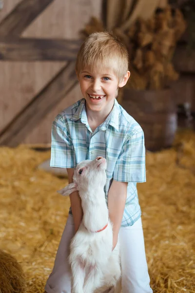 穿着格子衬衫的快乐男孩正在谷仓里抱着一个满身干草的白山羊孩子 两人之间的温情是显而易见的 这是一个令人振奋的景象 — 图库照片