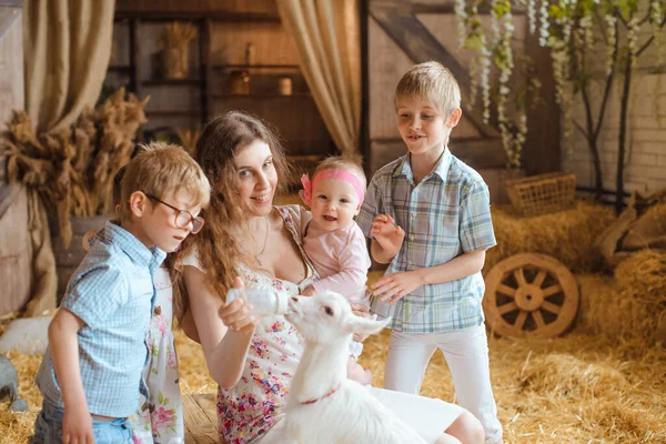 2人の息子と赤ちゃんを持つ母親の家族は 納屋につながる木製のドアの前に立って 白い赤ん坊のヤギにミルクを飲ませます — ストック写真