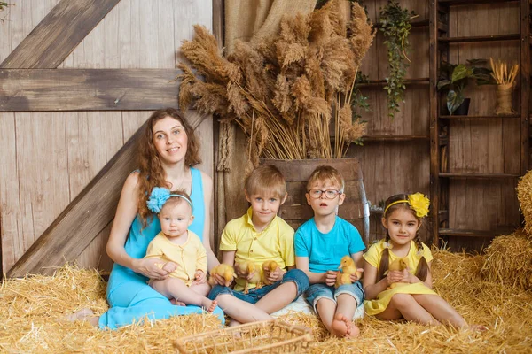图为一个母亲和四个孩子的家庭坐在谷仓里的干草上 孩子们抱着小鸭 穿着黄色和蓝色的夏装 妈妈的头发是波浪形的 — 图库照片