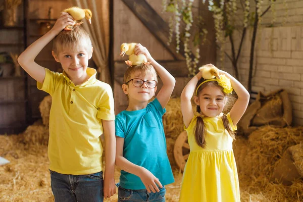 Three Children Wearing Yellow Blue Clothes Girl Dress Holding Ducklings — Stock Photo, Image