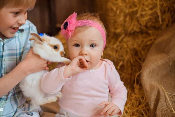 哥哥把那只毛茸茸的兔子带到妹妹们面前 她用手捂住她的嘴 — 图库照片