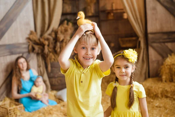 Boy Holds Yellow Duckling His Head His Sister Stands Next — Stock Photo, Image