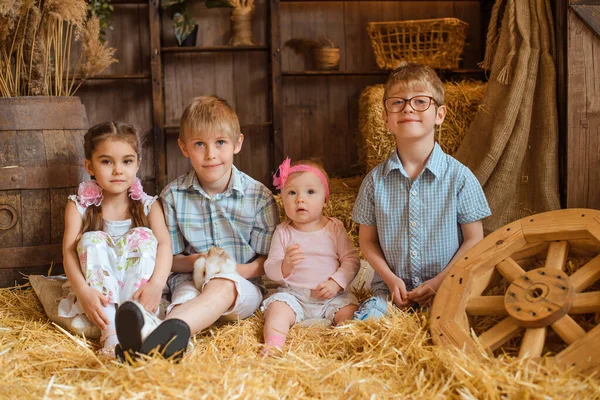 在农村的一个谷仓里 四个兄弟姐妹坐在干草上 周围有木箱和木桶 男孩子们穿着衬衫 而女孩子则穿着连衣裙 — 图库照片