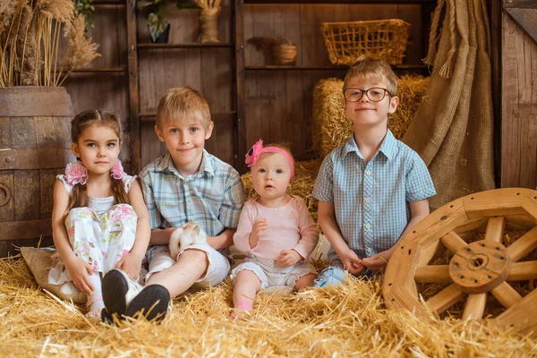 四个孩子 兄弟姐妹 坐在一个被木箱和木桶包围的农村谷仓的干草上 男孩子穿衬衫 女孩子穿裙子 一只手里拿着一只白兔 — 图库照片