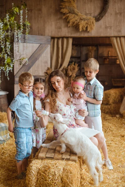 思いやりのある母親と彼女の子供 赤ちゃんを伴います 素敵なミルクのボトルで白い子供ヤギを食べます素朴な納屋のドアを背景に設定されています — ストック写真