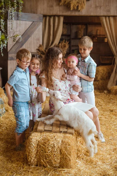 Familia Cariñosa Cinco Incluyendo Una Madre Cariñosa Sus Cuatro Hijos — Foto de Stock
