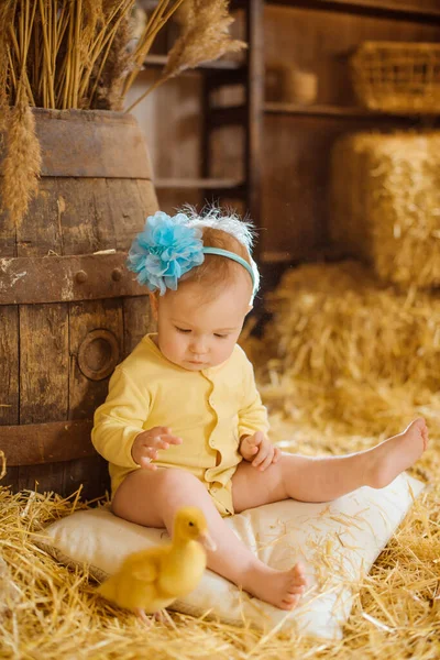 一个头戴蓝色圈圈的小女孩坐在一个白色的枕头上 看着一只孤独的小鸭 女孩身后是一个大木桶 里面是谷仓的背景图 — 图库照片