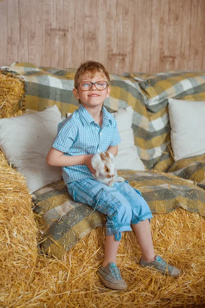 一个戴着蓝色格子呢T恤眼镜的男孩坐在被格子布毯子覆盖的草垛上 抱着一只白兔 — 图库照片