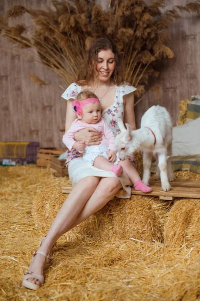 卷发妇女坐在一捆干草上 抱着小女儿 他们旁边站着一只白山羊宝宝 孩子们在玩耍 — 图库照片