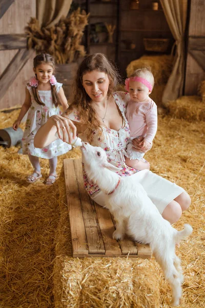 波状の髪の女性は白いベビーヤギに餌をやりながら 干し草に囲まれたベンチに座っている赤ん坊の女の子を抱いています 納屋につながる木製のドアが背景に見えます — ストック写真